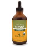 Herb Pharm Certified Organic Ginger Liquid Extract for Digestive Support - 4 Ounce 4 Fl Oz (Pack of 1) - Buy Online on GoSupps.com