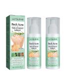 Back Acne Treatment Spray - 2% Salicylic Acid & Herbal Formula - Tea Tree Oil Body Acne Solution - 120ml 2pc - Buy Online on GoSupps.com