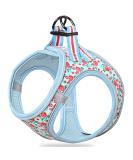 Heele Dog Harness for Small & Medium Dogs - Adjustable Reflective Soft Mesh Puppy Harness in Flower Cyan Breathable & Comfortable Design - Buy Online on GoSupps.com