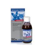 Alfavet Reconvales Energy in the convalescence with underweight and in the case of hepatic lipidosis of the cat High -caloric glass bottle 180ml single - Buy Online on GoSupps.com