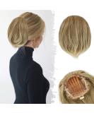 Buy BARSDAR Short Pferance Dut Blond Hair Extension - 20cm Synthetic Chignon with Kamm Clip for Women - Mixed Blonde Urban Style - Buy Online on GoSupps.com