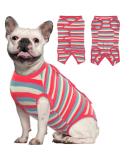 Kuoser Breathable Post-Op Body Suit for Dogs & Cats - Medical Recovery Wear for Male & Female Pets - Alternative to Elizabethan Collar - Buy Online on GoSupps.com