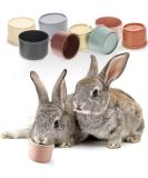 Stacking Cups for Rabbits-BPA-Free Safe Plastic Stacking Toys Rabbit Toys Bunny Toys for Hiding Food and Playtime Fun(8 Pack) - Buy Online on GoSupps.com