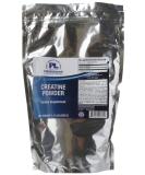 Buy Progressive Labs Creatine Powder Supplement - 1.1 Pound | Best International Shipping - Buy Online on GoSupps.com