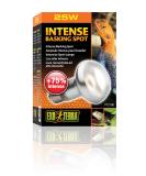 Exo Terra Intense Basking Spot heat spot lamp R20 25W socket E27 1 piece (1 pack) 1 piece (1 pack) 25W - Buy Online on GoSupps.com