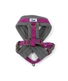 Ancol Viva Purple Padded Harness - Size Small (36-42cm) - Buy Online on GoSupps.com