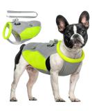 Hjyokuso Cool Vest for Dogs | Summer Cooling Jacket for Small Medium & Large Dogs | Ideal for Outdoor Activities & Training - Buy Online on GoSupps.com
