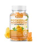 Potassium Magnesium Gummies for Adults and Kids - Sugar-Free Supplement for Leg Cramps & Muscle Health - Non-GMO Vegan Mango Flavor - 60 Count - Buy Online on GoSupps.com