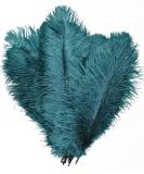 CENFRY 10pcs 10-inch Teal Ostrich Feathers for Wedding Centerpieces & Home Decoration - Buy Online on GoSupps.com