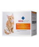 Recoactive kidney tonic for cats in the event of signs of kidney function disorder in convalescence and for prophylaxis.High quality protein appetite stimulating supplementary feed 3 x 90 ml 3 x 90ml - Buy Online on GoSupps.com