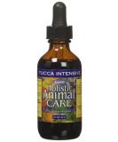 Yucca Intensive Anti-Inflammatory 2oz Bottle with Eyedropper - Natural Relief for Inflammation - Buy Online on GoSupps.com