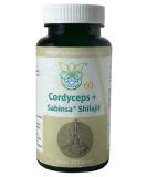 VITARAGNA CORDYCEPS & Shilajit Premium Adaptogenic Complex Balance Your HPA Axis 60 Capsules | International Shipping Available - Buy Online on GoSupps.com