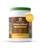 Amazing Grass Green Superfood Chocolate 28.2 oz (800 g) - Buy Online on GoSupps.com