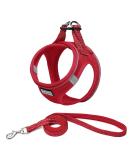 Suredoo Reflective Dog Harness with Leash - Anti-Train Chest Harness for Small Dogs & Cats - Red XS - Buy Online on GoSupps.com