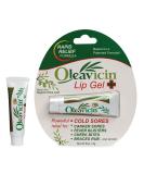 All Natural Organic Fever Blister Cold Sore Treatment Relief Ointment Gel - 1.3oz - Buy Online on GoSupps.com
