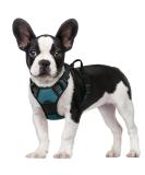 Rabbitgoo No-Pull Dog Harness for Medium & Large Dogs - Breathable Reflective Anti-Training Control - Dark Green (1 Pack) - Buy Online on GoSupps.com