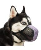Soft Dog Muzzle for All Sizes - Breathable Adjustable Muzzle for Eating Grooming & Chewing - Perfect for Labrador Poodle Husky - XS (Snout: 6 - 8 ) - Buy Online on GoSupps.com