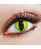 Aricona contact lenses - poison -green contact lenses motif lenses cat eyes - colorful colored contact lenses green without strength for carnival carnival and costume parties 2 pieces - Buy Online on GoSupps.com
