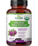 Zazzee USDA Organic Milk Thistle Extract Capsules 120 Vegan Capsules 7500 mg Strength 80 Silymarin Flavonoids Potent 30:1 Extract USDA Certified Organic Vegan Non-GMO and All-Natural - Buy Online on GoSupps.com