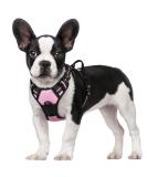 Rabbitgoo No-Pull Dog Harness for Medium & Large Dogs - Adjustable Breathable Safe Pink - Perfect for Training & Everyday Use (1 Pack) - Buy Online on GoSupps.com