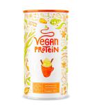 Buy Alpha Foods Vegan Pumpkin Spice Protein Powder - 600g | Plant-Based Protein Blend with Rice Peas Soy Flax Amaranth & Sunflower Seeds | International Shipping Available - Buy Online on GoSupps.com