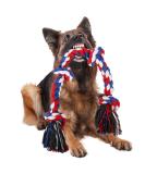 Viewlon Robust Dog Toy Rope - Interactive 75cm Chew Toy for Small/Medium Dogs | Durable 4 Knots | Aggressive Chewing & Dental Cleaning - Blue - Buy Online on GoSupps.com