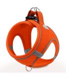 Joyal Dog Harness for Small Dogs | Reflective Soft Padded Air-Mesh for Puppies | Orange S-Breast (38-42cm) - Buy Online on GoSupps.com