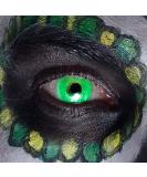 Buy Boland UV Flash Monthly Lenses - Soft Contact Lenses for Halloween & Carnival | No Prescription Needed - Buy Online on GoSupps.com