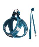 Uvtqssp Dog Harness for Small Dogs with Leash | Padded Puppy Dishes & Indigo Blue Harness Set - Buy Online on GoSupps.com