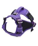 Shop Dociote Anti-Pull Dog Harness | Safety Harness with Handle & Reflector for Medium & Large Dogs - Purple Lila (1 Pack) - Buy Online on GoSupps.com