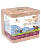 SALTEAN 2.5kg Compressed Himalayan Pink Salt Lick with Rope - Natural Salt from Salt Range Pakistan - Buy Online on GoSupps.com