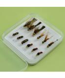 YAZHIDA | Fly Fishing Flies kit |Dry Fly | WetFly | 12pcs Bead Head Brassie - Buy Online on GoSupps.com