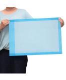 Dealmed Disposable Underpads 24x17 - 100 Count, Blue, Non-Sterile 2-Ply Tissue Fill | Standard Absorbency for Pet Pads & Furniture Protection - Buy Online on GoSupps.com