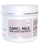 Cammelatt camel milk body butter with shea butter - intensive nourishing body lotion for dry skin with vitamin C E - Long -lasting moisture - natural body lotion women - men - 100 ml - Buy Online on GoSupps.com