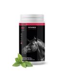 Peticare Worm Mix Powder for Horses - Natural Alternative to Worm Treatment & Infestation | Vegetable Ingredients & Wormwood | 200g | Pethorse Health - Buy Online on GoSupps.com