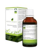 Wellnest Kidney Power Detox Concentrate | Bladder Weakness Relief | Herbal Spice Extracts | Hulda Clark Treatment | 100 ml - Buy Online on GoSupps.com