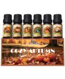 Fall Essential Oil Set for Diffusers - Aromatherapy Oils Gift Set: Apple Cider Nutmeg Snickerdoodle Vanilla Forest Pine Pumpkin Spice (6x10ml - Buy Online on GoSupps.com