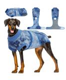 Kuoser Postoperative Dog Recovery Suit | Wound Protection & E-Collar Alternative | Soft Breathable Anti-Lick Puppy Shirt - XL Blue - Buy Online on GoSupps.com