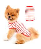 Shop Paidful British Dog Shirt - Striped Cat Vest for Summer | Soft Cotton T-Shirt for Boys & Pets | XL Red Top for Chihuahua & Yorkie Breathable Tank - Buy Online on GoSupps.com