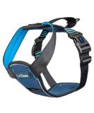 Carsafe crash-tested dogs safety dishes crash test-tested up to 32 kg / 70 lbs reliably secures the dog in the car comfortable and padded design for medium-sized dogs (size M) Blue medium - Buy Online on GoSupps.com