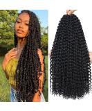 8 Packs 30 Inch Water Wave Passion Twist Crochet Hair Extensions for Black Women - Long Bohemian Braids (1B) - Buy Online on GoSupps.com