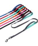 Vivaglory Traffic Handle Dog Leash - Two Padded Handles Reflective & Strong Metal Hook - 1.8m Training Line for Dogs - Gray - Buy Online on GoSupps.com