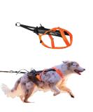Non-Stop Dogwear Freemotion Harness 5.0 Black/Orange - 5 Orange/Black 5 - Buy Online on GoSupps.com