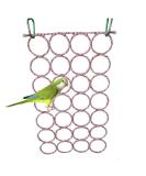 Bird Mirror Swing Cage Toy for Parrots - Hanging Play with Mirror for Greys, Parakeets, Cockatoos, Conures & More! - Includes Perch - Buy Online on GoSupps.com