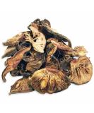Jalpur Garcinia Indica (Kokum Na Phool) 200g - Premium Quality | Fast Shipping - Buy Online on GoSupps.com