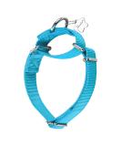 Adjustable Martingale Dog Collar - Durable No Escape Pulley Nylon - Medium/Large/Small - Turquoise (36cm-53cm) - Buy Online on GoSupps.com