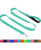 Buy Taglory Dog Leash for Medium to Large Dogs | Reflective Padded Handle | Supports 10-75 kg | 1.2m x 2.5cm | Turquoise - International Shipping Available - Buy Online on GoSupps.com