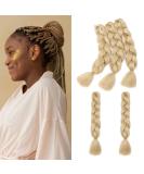 Gairyan 24 Jumbo Braids Extensions - 5 Bundles 500g Ombre Synthetic Braiding Hair for Box Crochet - Natural Blonde 60cm - Buy Online on GoSupps.com