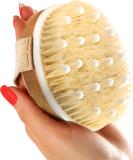 Cellulite Reduction & Lymphatic Drainage Dry Body Brush - Exfoliating Shower Scrubber with Soft Massage Nodules for Smooth Skin - 100% Natural Bristle Brush - Buy Online on GoSupps.com