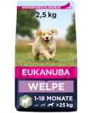 Eukanuba Puppy Food with Lamb & Rice for Large Breeds - Dry Food for Junior Dogs 2.5 kg Puppy 2.5 kg (1 Pack) - Buy Online on GoSupps.com